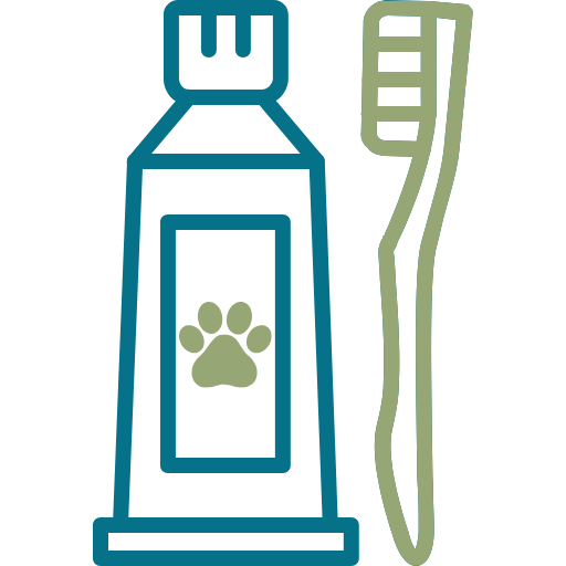 Pet Dentistry