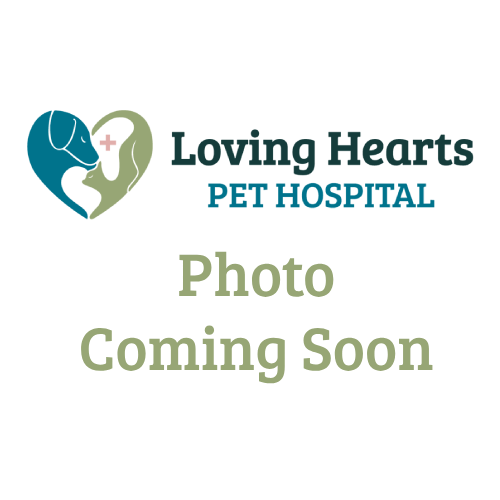 Photo Coming Soon