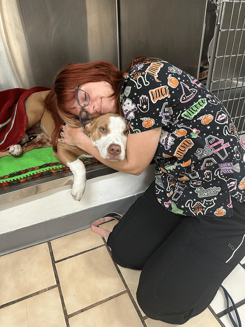 pet-surgery-services-dog-with-girl