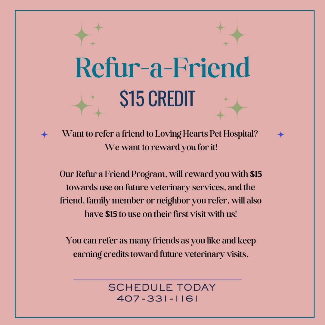 New client special