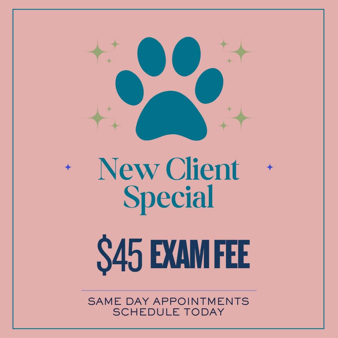 New client special