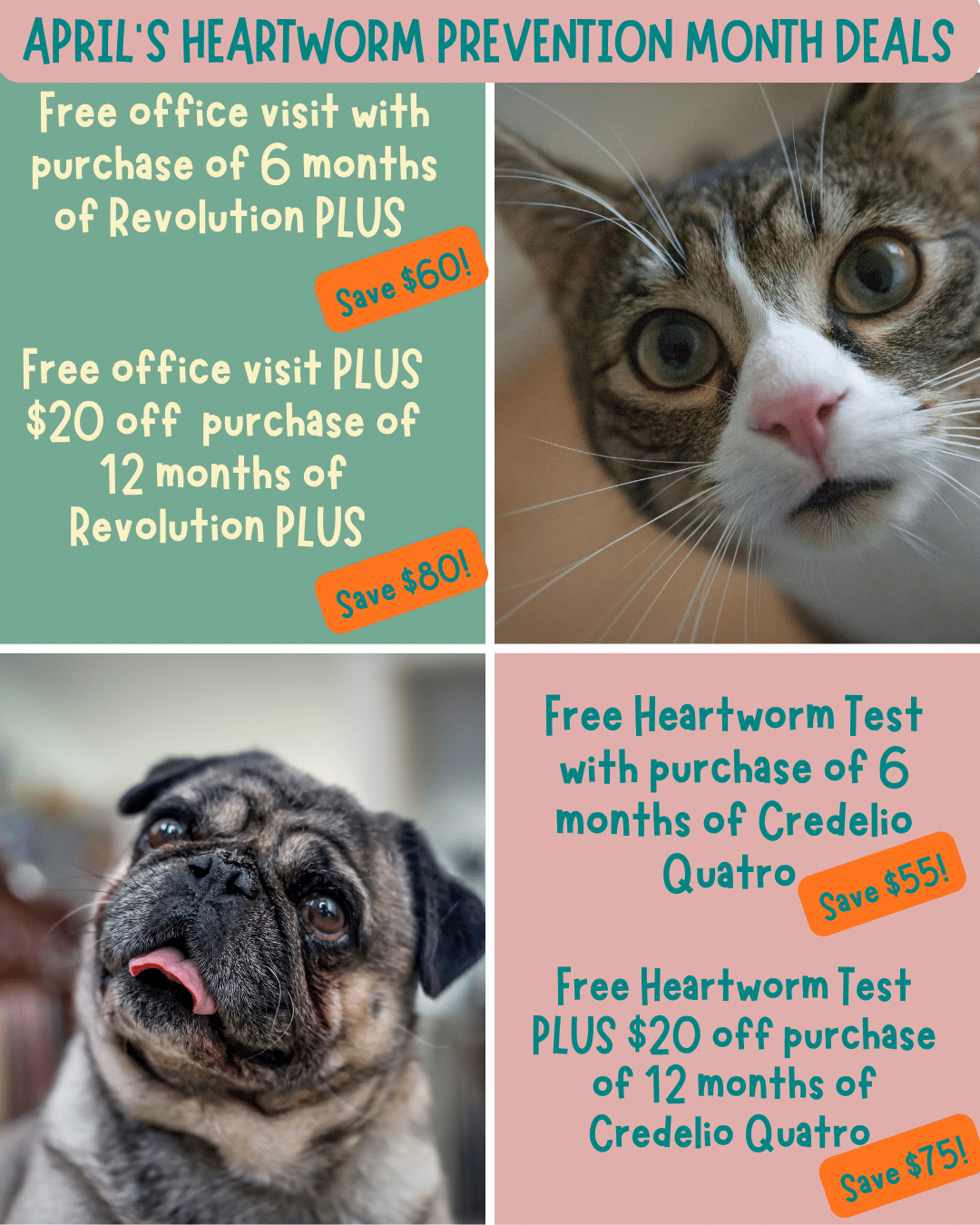 February Is Dental Month